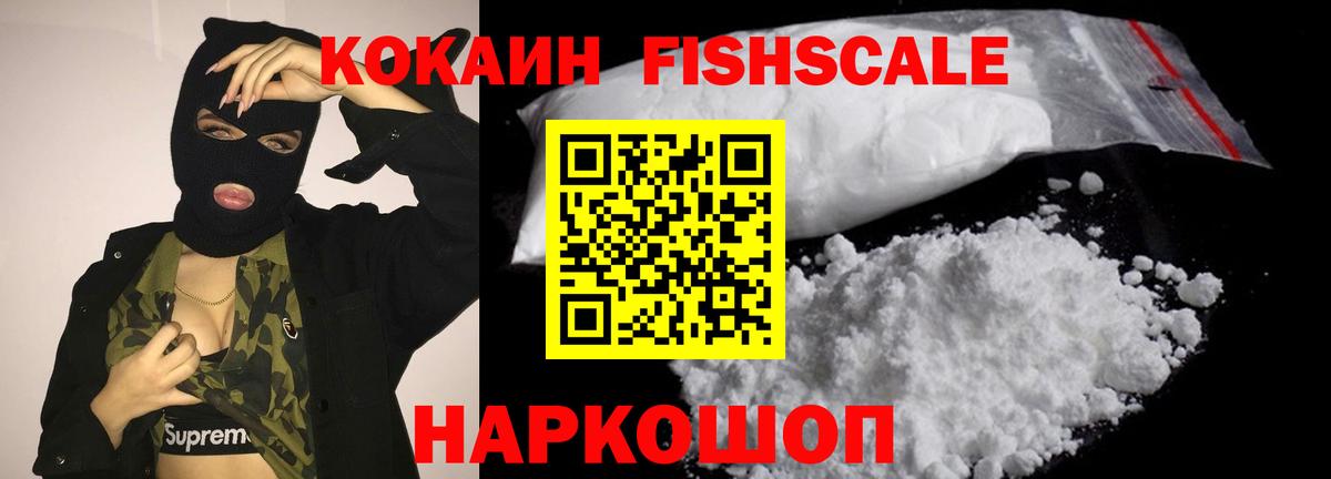 сколько стоит  Вход с VPN  КОКАИН Fish Scale  Кудрово  Cocaine Эквадор 