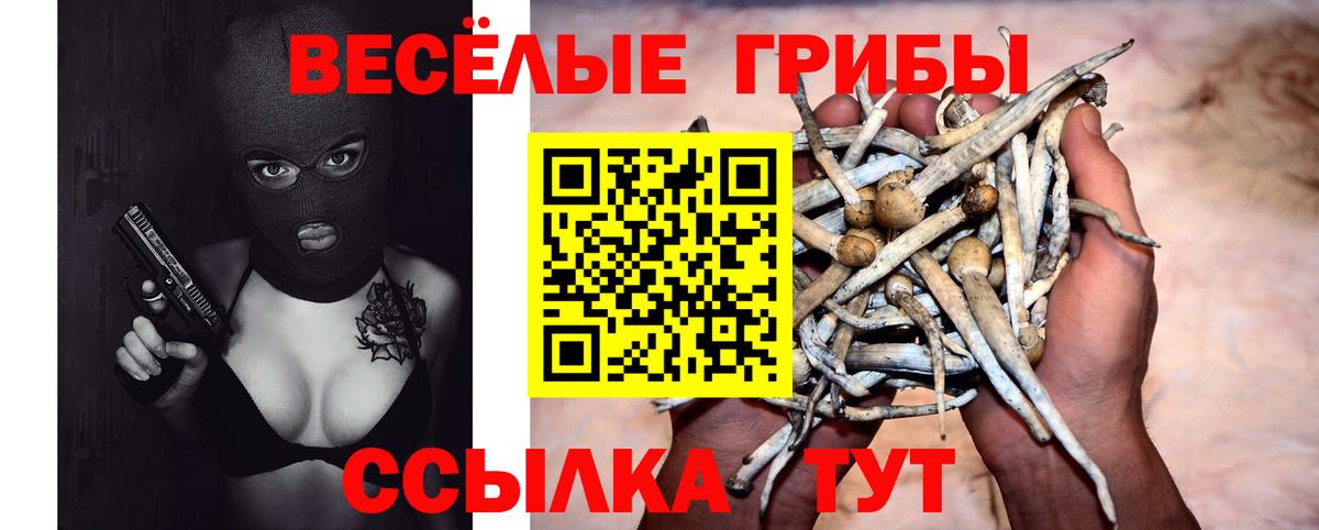 Кудрово  Псилоцибиновые грибы мицелий  Вход с VPN 